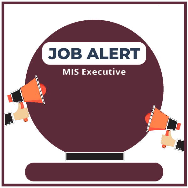 MIS Executive