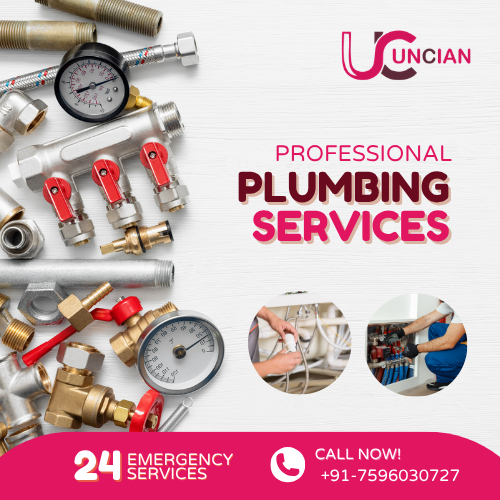 Professional Plumbing Services